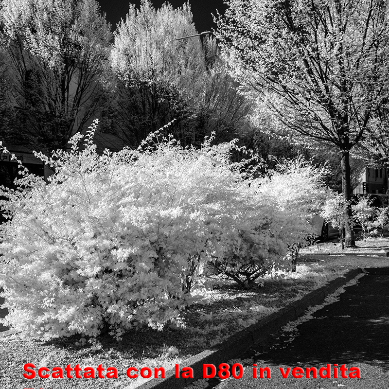 Nikon D80 IR 720nm
