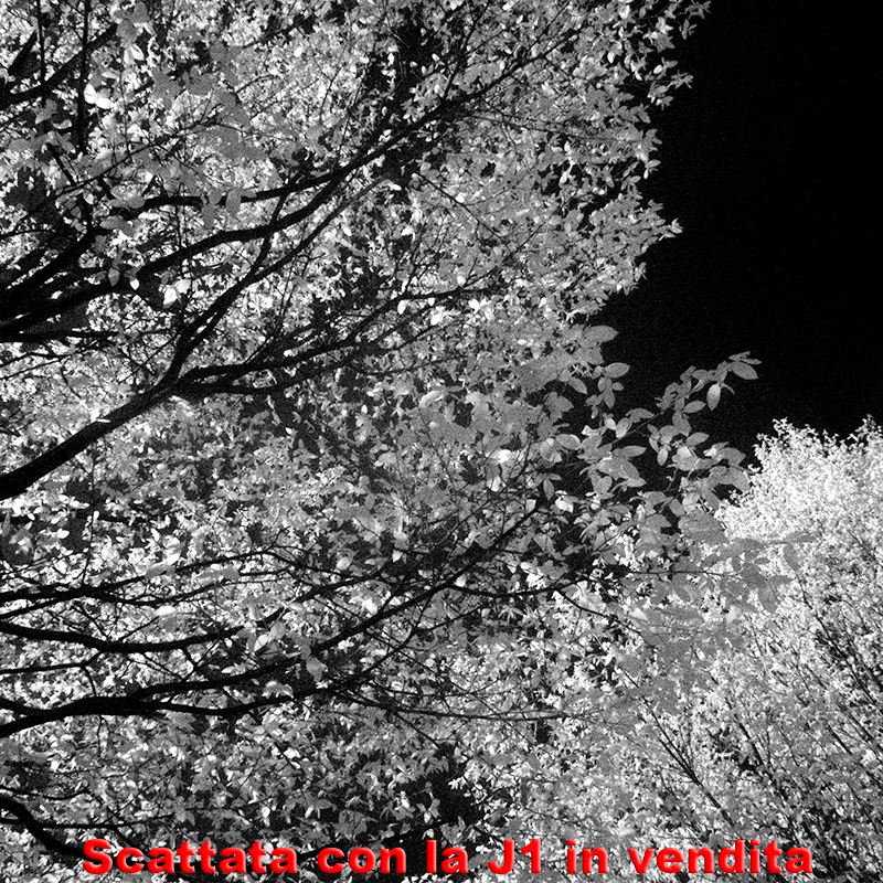 Nikon 1 J1 Infrared