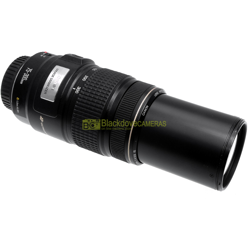 Canon EF 70/300mm f4-5,6 IS USM