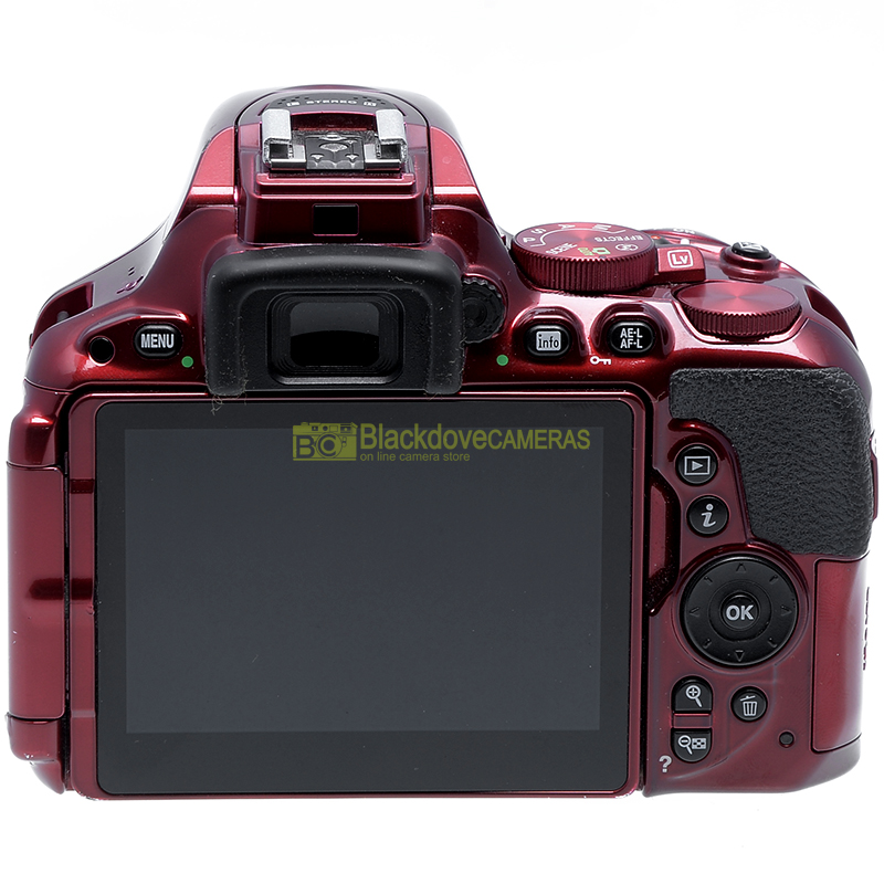 Nikon D5500