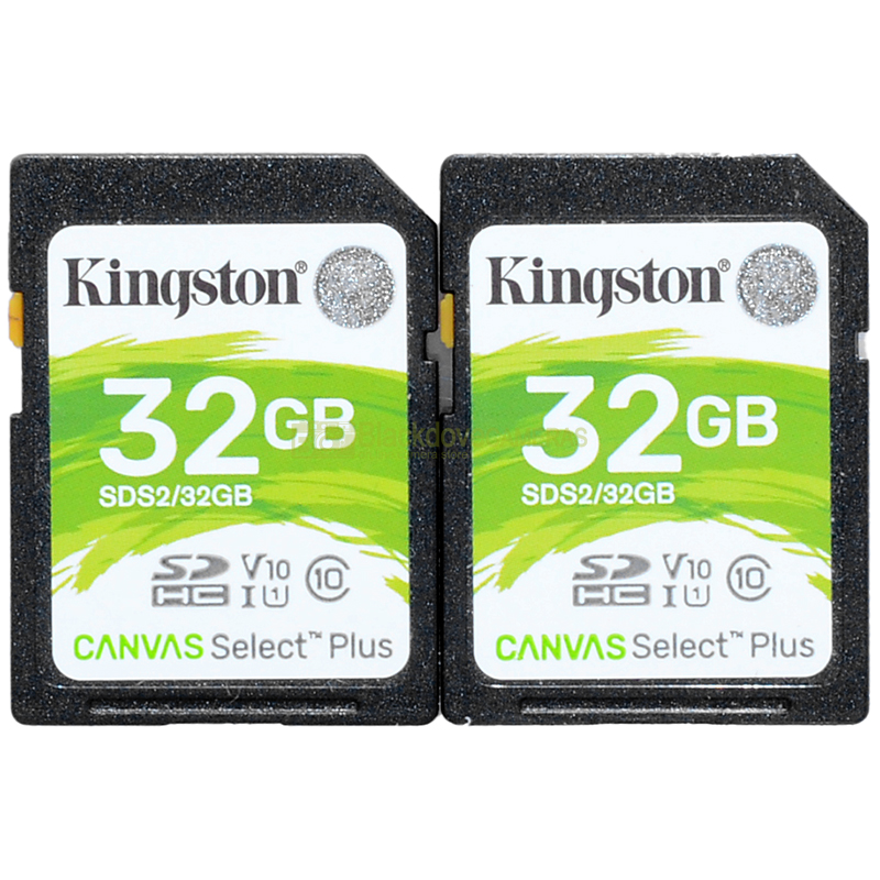 Lotto 2 Schede Secur Digital Kingston Select Plus SDHC 32b Totale 64Gb SD