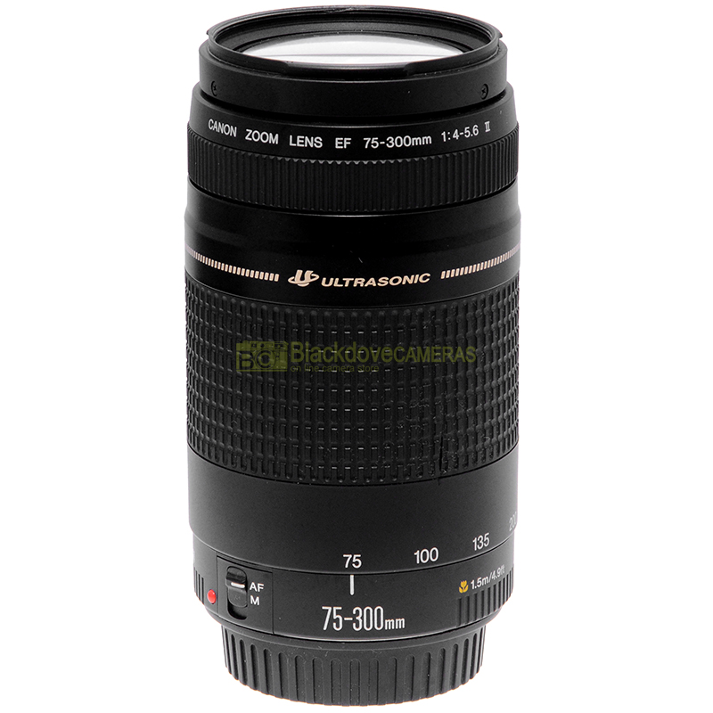 Obiettivo Canon EF 75/300mm f4-5,6 II USM