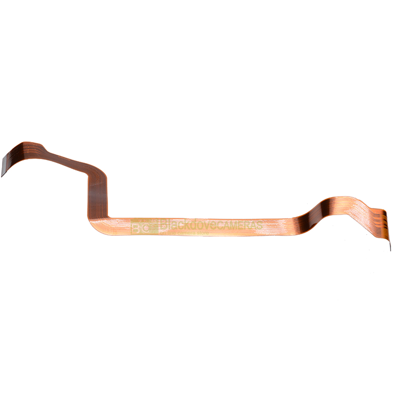 Nikon D1X flat flexible cable vista 1