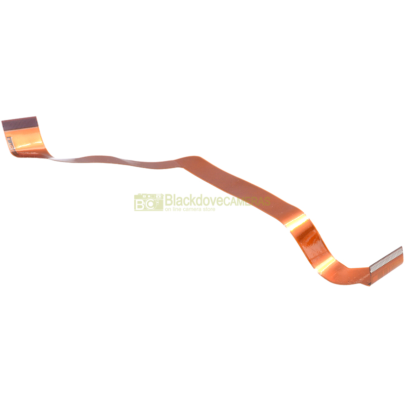 Nikon D1X flat flexible cable vista 2