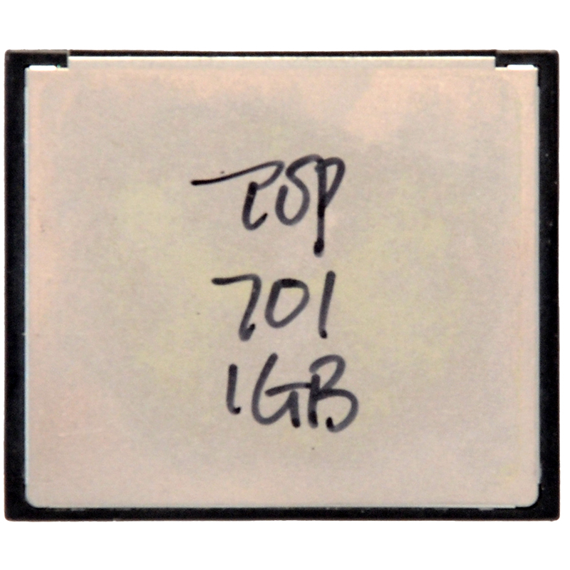 SanDisk 1GB CF dettaglio 2