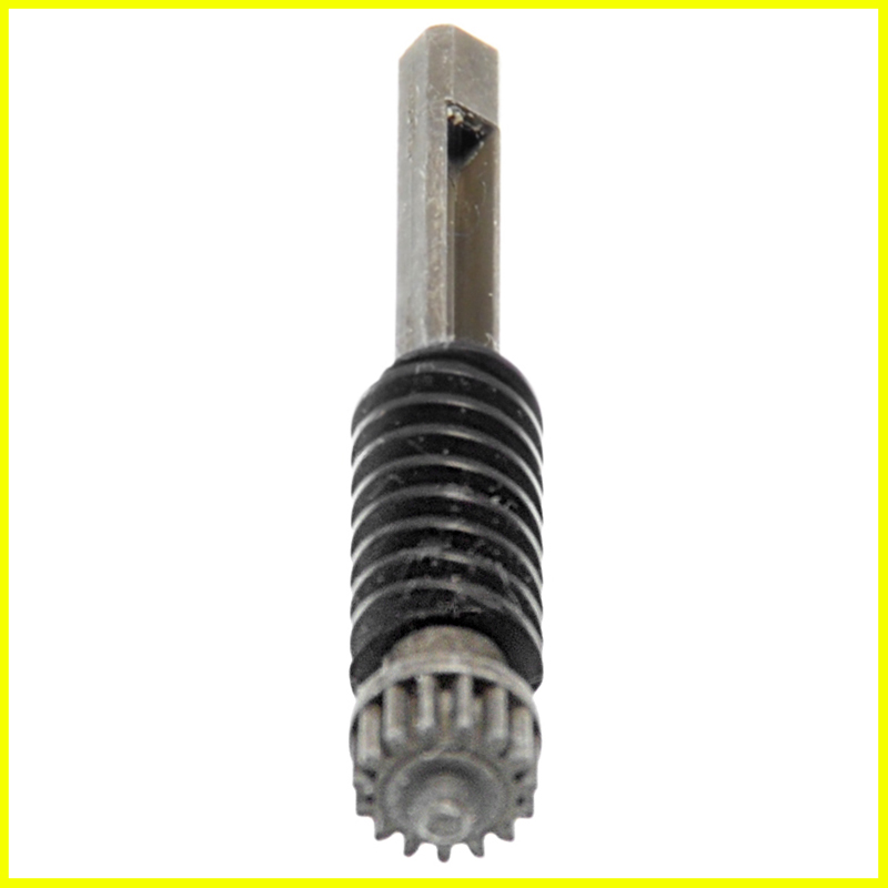 Nikon 28-100 worm gear interno vista 1