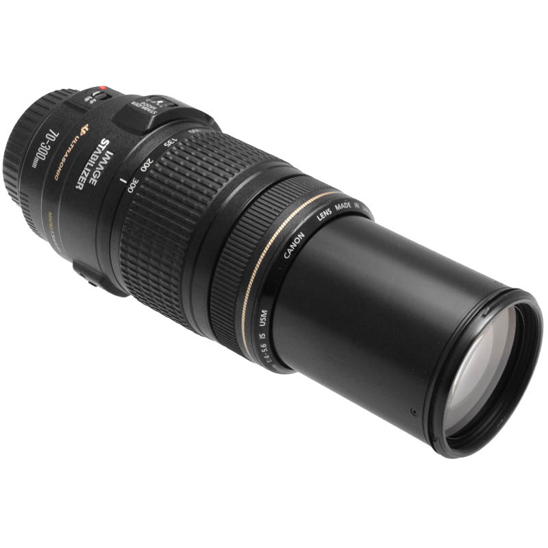 Canon 70-300mm dettaglio 2