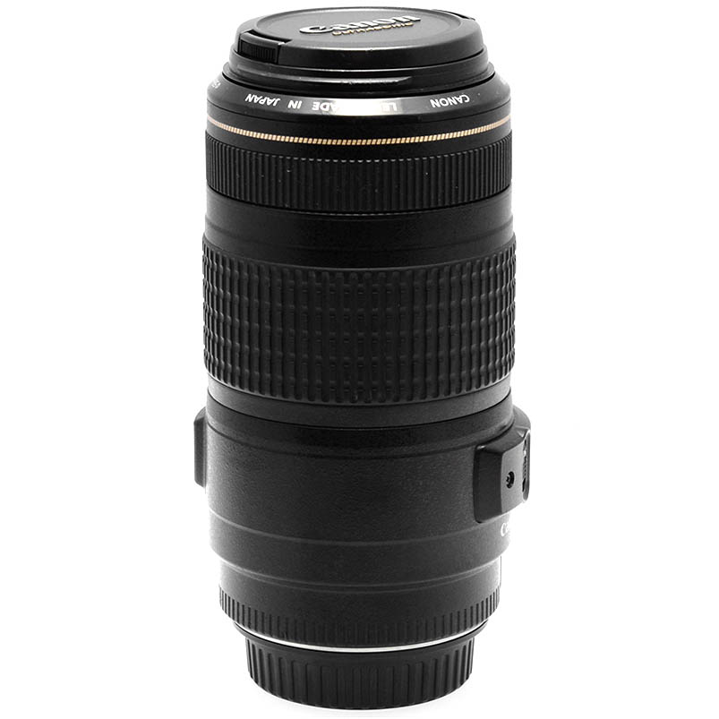 Canon 70-300mm dettaglio 3