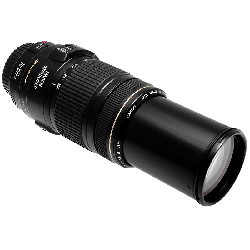 Canon EF 70-300mm f/4-5.6 IS USM dettaglio 1